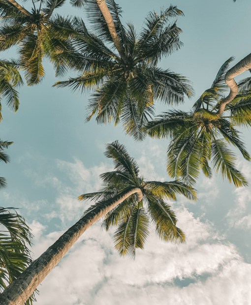 harshil-gudka-77zGnfU_SFU-unsplash.min